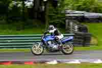 cadwell-no-limits-trackday;cadwell-park;cadwell-park-photographs;cadwell-trackday-photographs;enduro-digital-images;event-digital-images;eventdigitalimages;no-limits-trackdays;peter-wileman-photography;racing-digital-images;trackday-digital-images;trackday-photos